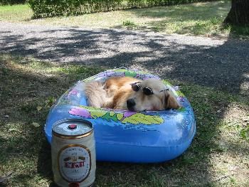 Endlich Urlaub, Ungarn 2004